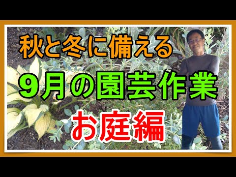9月の3つの最も重要なガーデニング作業