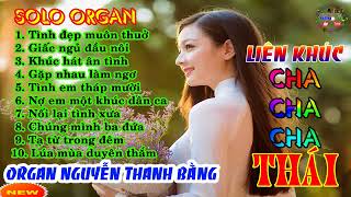 LK ChaChaCha Thái Cực Hay    SoLo Organ    Orga