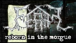 FERAL - Reborn In The Morgue (Official Lyric Video)