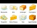 Every Cheese Explained In 18 Minutes