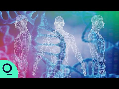 构建人体的终极地图（Building the Ultimate Map of the Human Body）