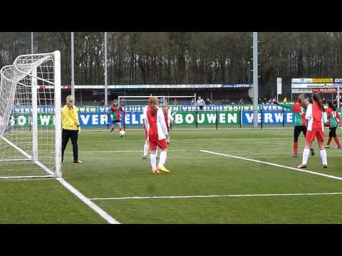 Zuidvogels MC1 - IJsselmeervogels MC1 - 01-02-2014 (Op de lat door Iris)