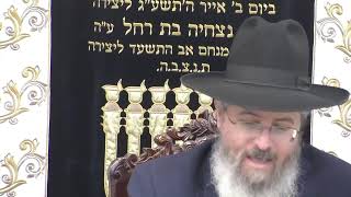 בית המדרש חזון יעקב • יום ראשון כה' חשוון תשפ'ו (בית הכנסת מוסאיוף) - התמונה מוצגת ישירות מתוך אתר האינטרנט יוטיוב. זכויות היוצרים בתמונה שייכות ליוצרה. קישור קרדיט למקור התוכן נמצא בתוך דף הסרטון