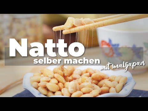 Natto selber machen | DIY Sojabohnen fermentieren mit Joghurt Maker | Rezept & Anleitung 🫘