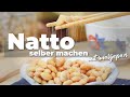 Natto Selber Machen DIY Sojabohnen Fermentieren Mit Joghurt Maker Rezept Anleitung 🫘
