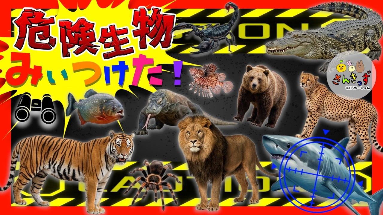 【危険生物みぃつけた！】きけんせいぶつさがしに挑戦！隠れている 危険生物を探そう♪海の危険生物 森の危険生物 大集合！【子供向け 危険生物アニメ】危険生物ミッケ★