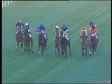 Galoppo 08/03/2017 - 4ª corsa