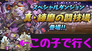 真練磨の闘技場！初見即死二回目でクリア！【パズドラ】