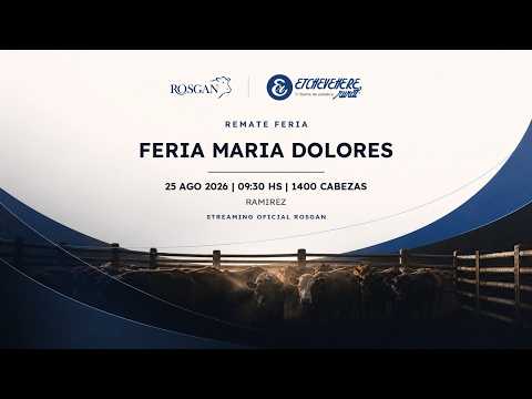 FERIA MARIA DOLORES