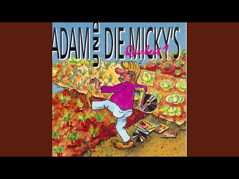 Der Geiserfahrer von der Autobahn