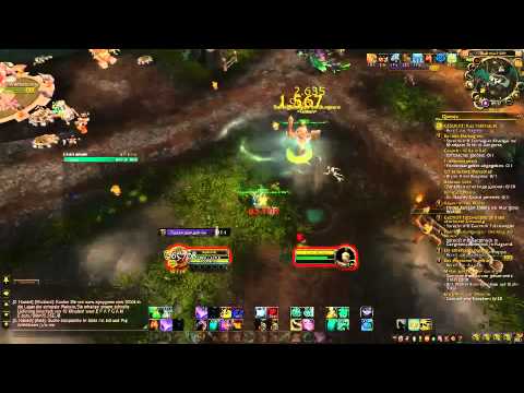 6.2.2 Monk Hurricane Strike Macro Demo