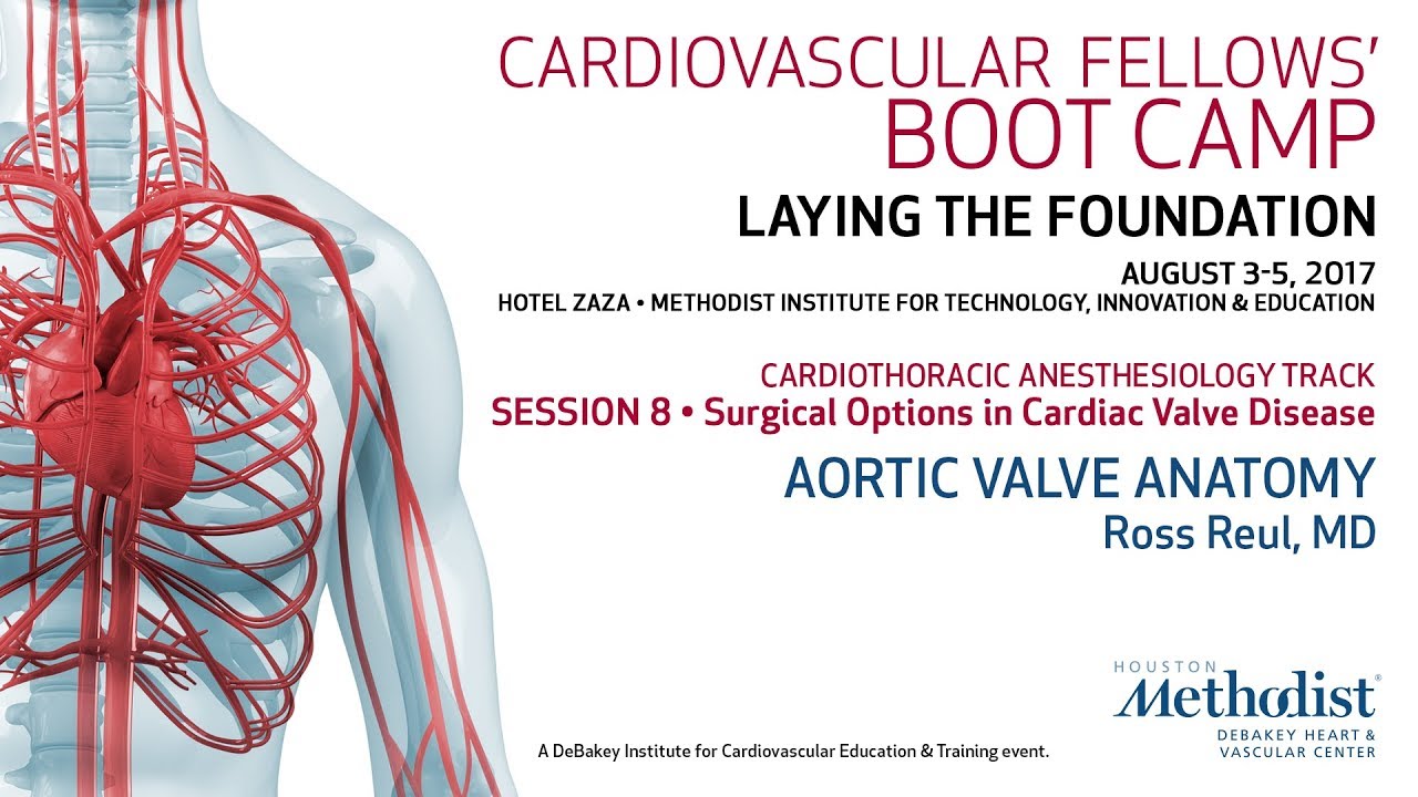 Aortic Valve Anatomy (Ross Reul, MD)