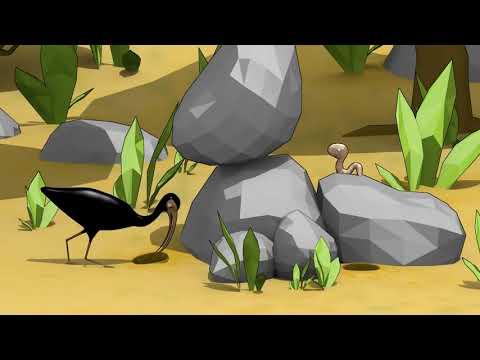 The bird and his food - Projeto de animação 3D (2012.2)