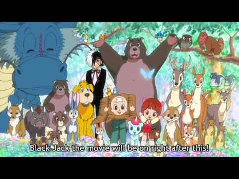 Dr. Pinoko's Forrest Adventure