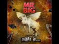 I Wont Get In My Way - Mr. Big