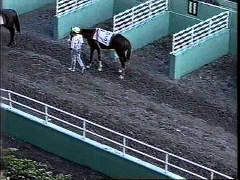 Copa Confraternidad 1991-Rally