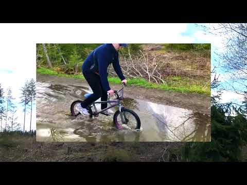 Whose Rules - Dusty R&B