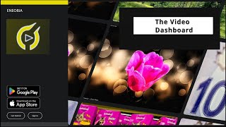 Eneobia - The Video Dashboard