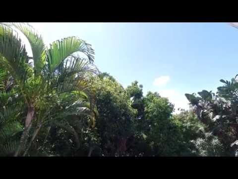 4 Bedroom House for sale in Kwazulu Natal | Durban | Westville | Westville | 41 Devon T | T1008968