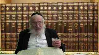 קידושין דף ו'