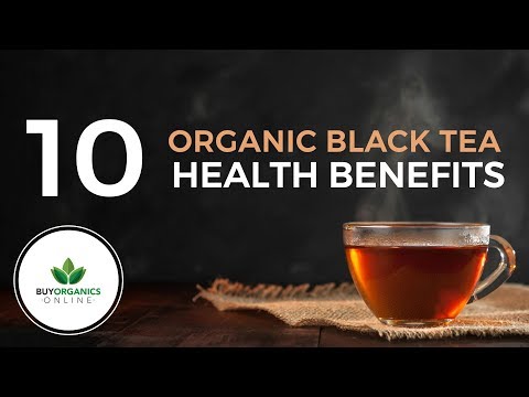 download lagu mp3 mp4 Buy Organic Black Tea, download lagu Buy Organic Black Tea gratis, unduh video klip Buy Organic Black Tea