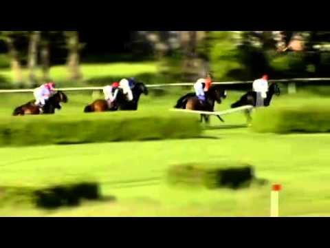 11.05.2014 Hoppegarten 7.Rennen 43. Oleander-Rennen 2014 - Gruppe III  3.200 m