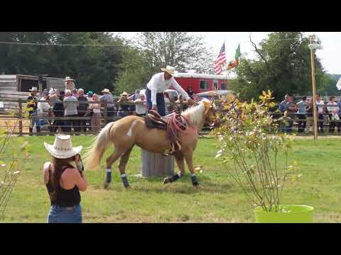 AK 10/6/2018 France Exca Pro #2 "The Ranch Open Show" Ranch de l'Oison, Normandie, France