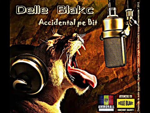 Delle Blakc ft. Sanddy - Sătul de toate