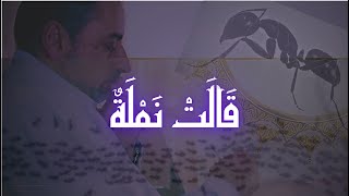 صورة "قالت نملة" بين تدبر المتدبرين  وتفاهة التافهين
