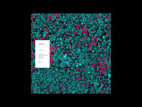 Julian Wassermann, Raphael Mader - Aversion (Original Mix) [ODDITY]