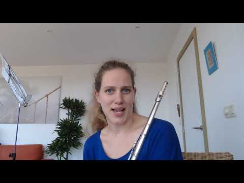 Dwarsfluit promofilmpje