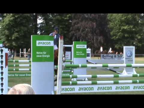 Valentino x Kolibri (5-jährig)