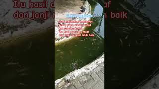 Download lagu Kesempatan kedua - Terima kasih Cinta afgan - status wa mp3