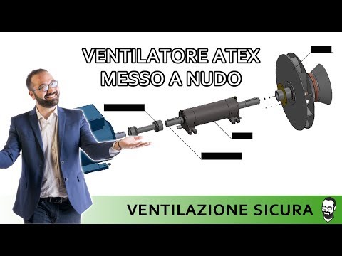 Di potenzialità rimedi popolari edificanti Quali vitamine aumentare del pene