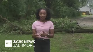 Trees down, damage in Pasadena after severe storm rolls through Maryland