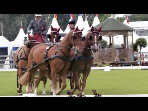 Chio Aachen 2013 Dressurprüfung  für Vierspänner: Picture Show