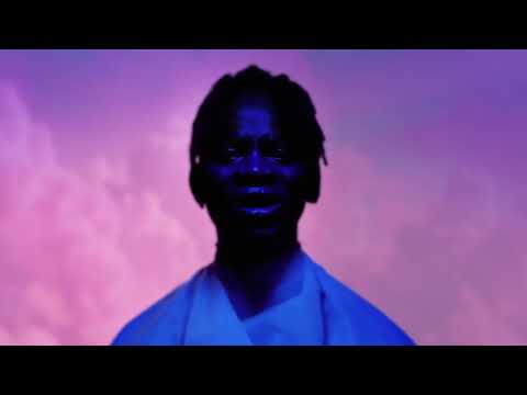 WAYNE SNOW - Snowdome (Visualiser)