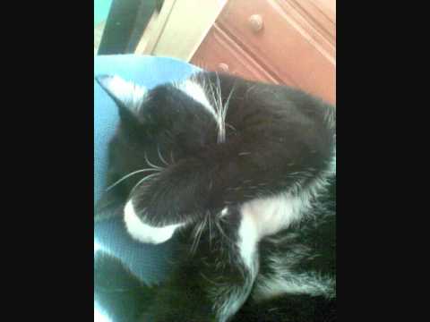 Azad feat. chabs - Mentale Krisen RMX by Bob Kuba