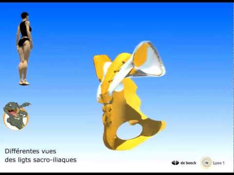 Trattamento di patate della osteoartrite Video di mal di schiena