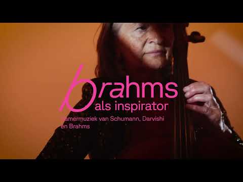 Phion Brahms | ZO 8 FEB in De Voorveghter