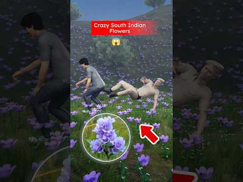 Amazing Neelakurinji Flowers (3D) by Professor of How
