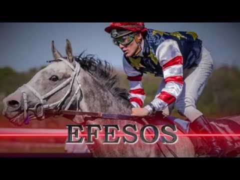 Efesos derbyprep