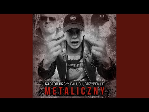 Metaliczny (feat. Paluch, Grzybek LD)