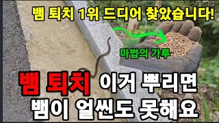 뱀 퇴치!(실험)이거보다 좋은건 세상 어디에도 없습니다! #뱀퇴치하는방법 #뱀퇴치 #뱀이좋아하는환경 #sna…