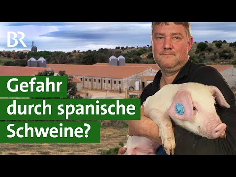 Deutsche Bauern ohne Zukunft? Das Geschäft mit dem spanischen Billigfleisch | Unser Land | BR