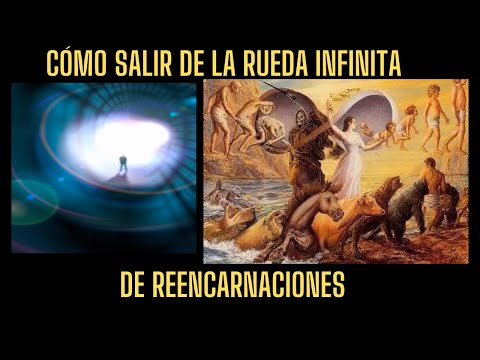 COMO ESCAPAR DE LA MATRIX INFINITA DE REENCARNACION