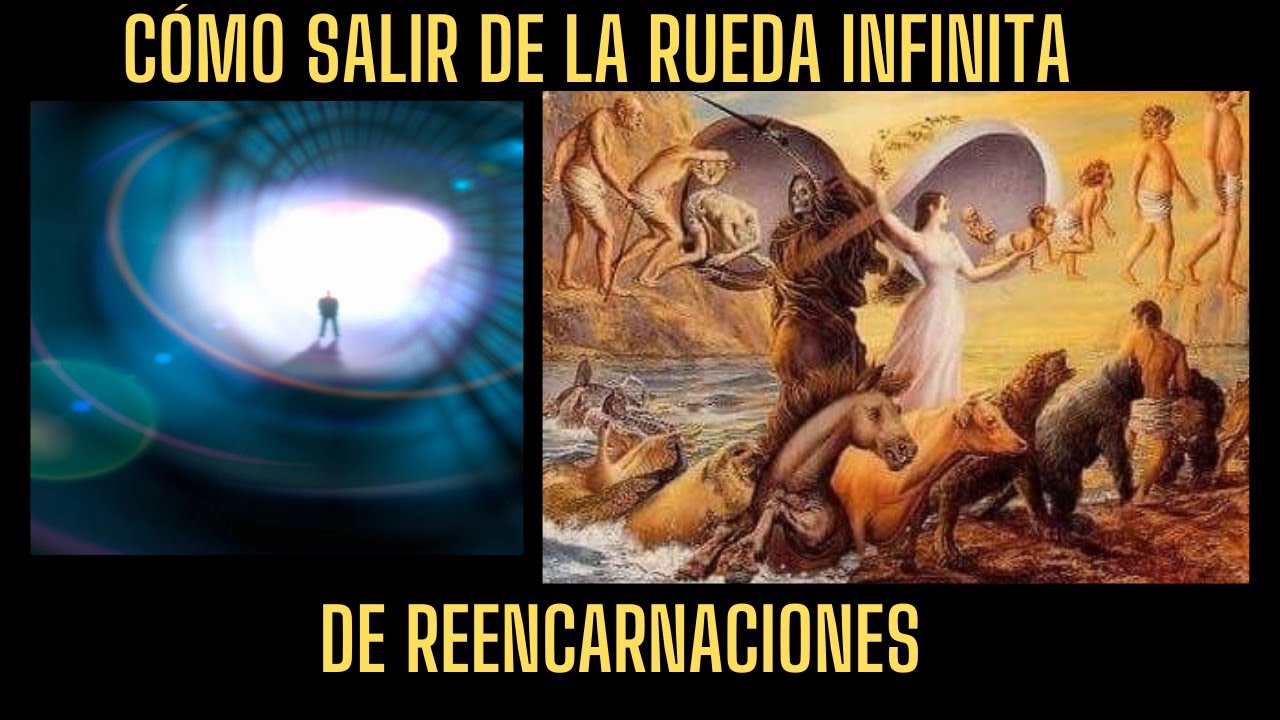 COMO ESCAPAR DE LA MATRIX INFINITA DE REENCARNACION