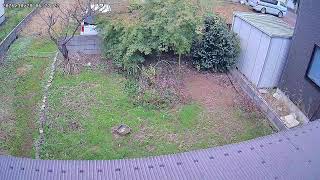 山形県鶴岡市白山興野ライブカメラ live webcam