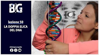 La DOPPIA ELICA del DNA - Erwin Chargaff, Rosalind Franklin, James Watson e Francis Crick