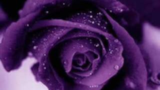 This Love   Sarah Brightman